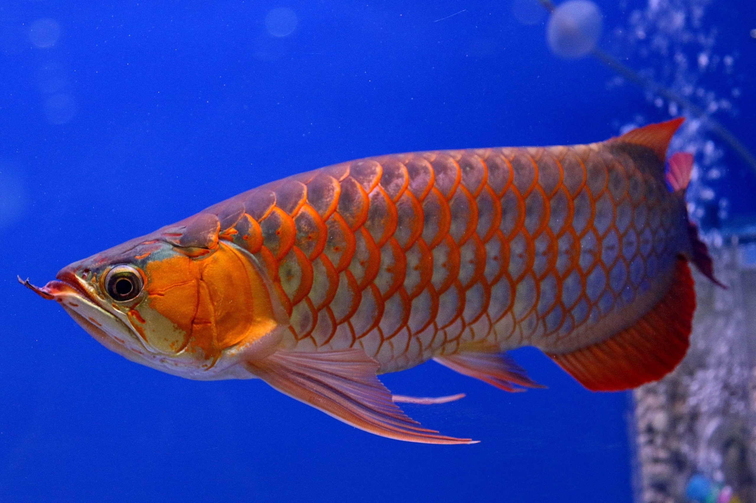 ariwana enterprise hardware store scaled