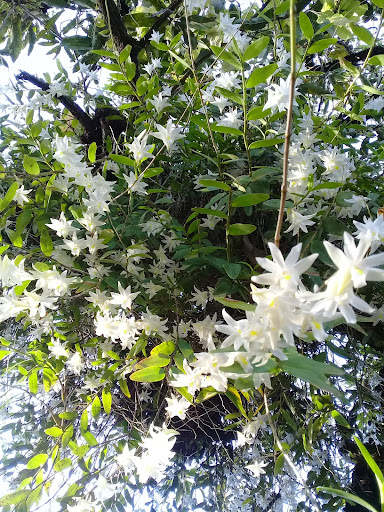 TriJaya Hardware Building Materials