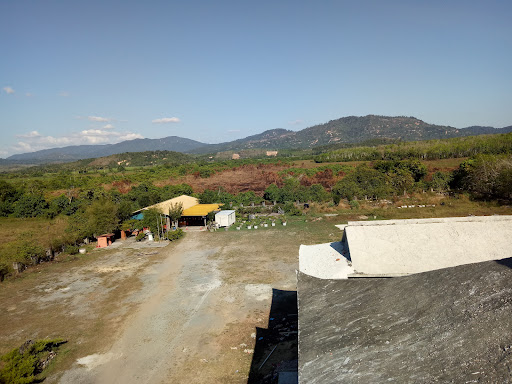 Suntex Global Trading