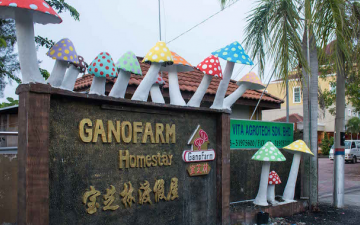 Ganofarm Sdn Bhd 1 ganofarm sdn bhd