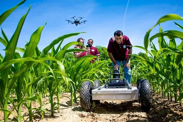 pang hardware agriculture