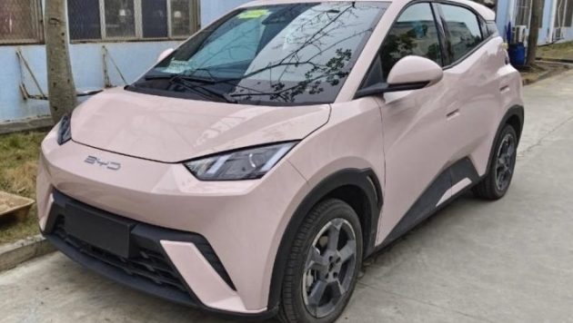 pasaran ekonomi seagull