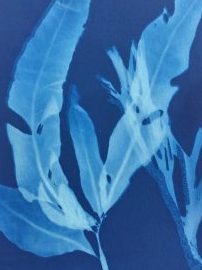 sunlight hardware sook branch 1